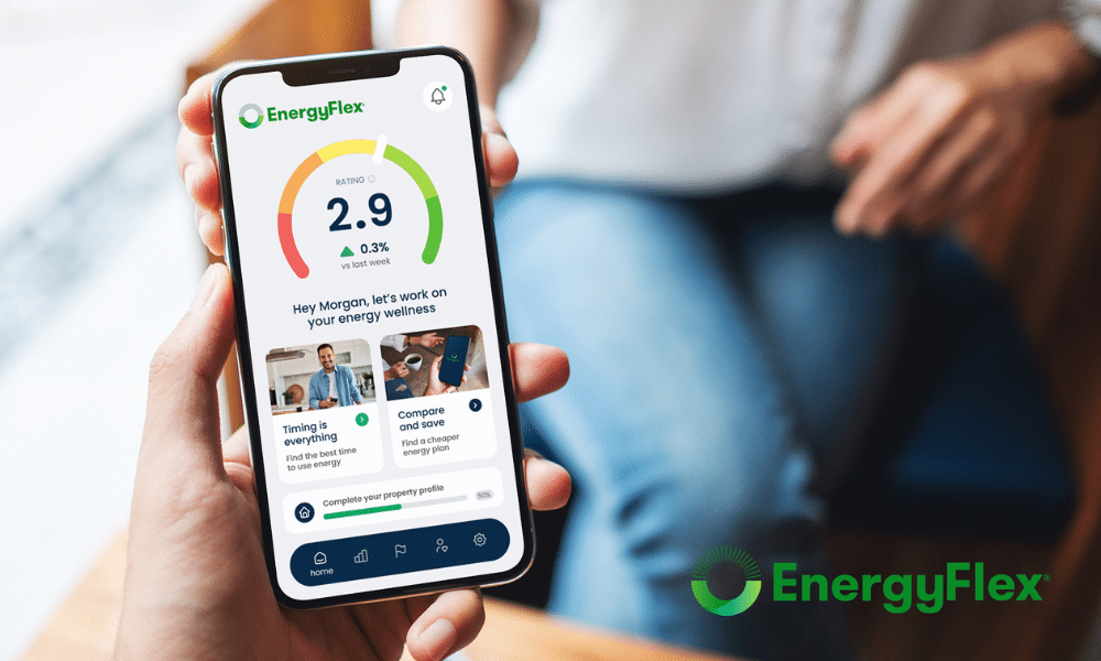 EnergyFlex app
