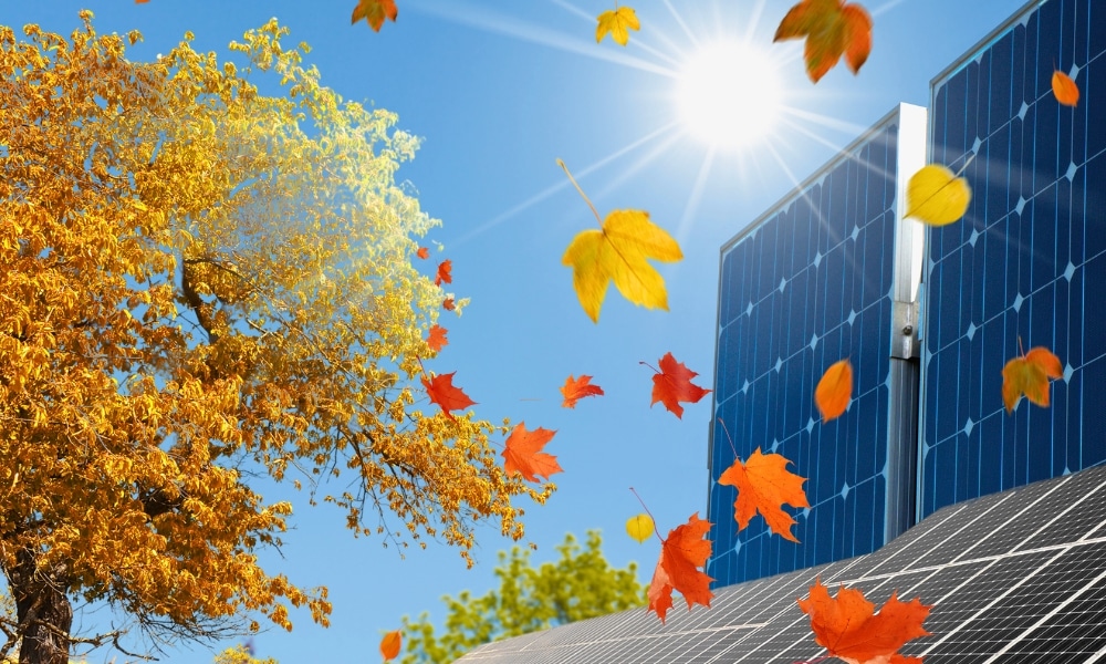 solar panel placement tips