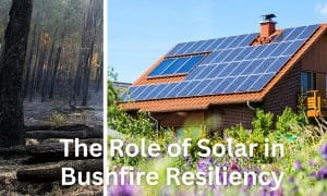 resilient solar panels