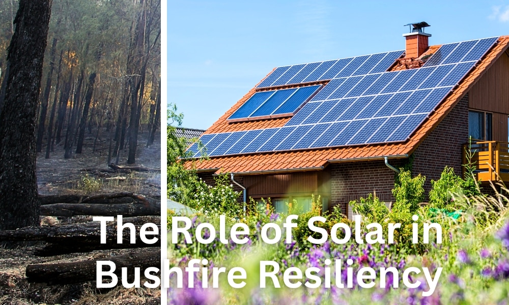 resilient solar panels