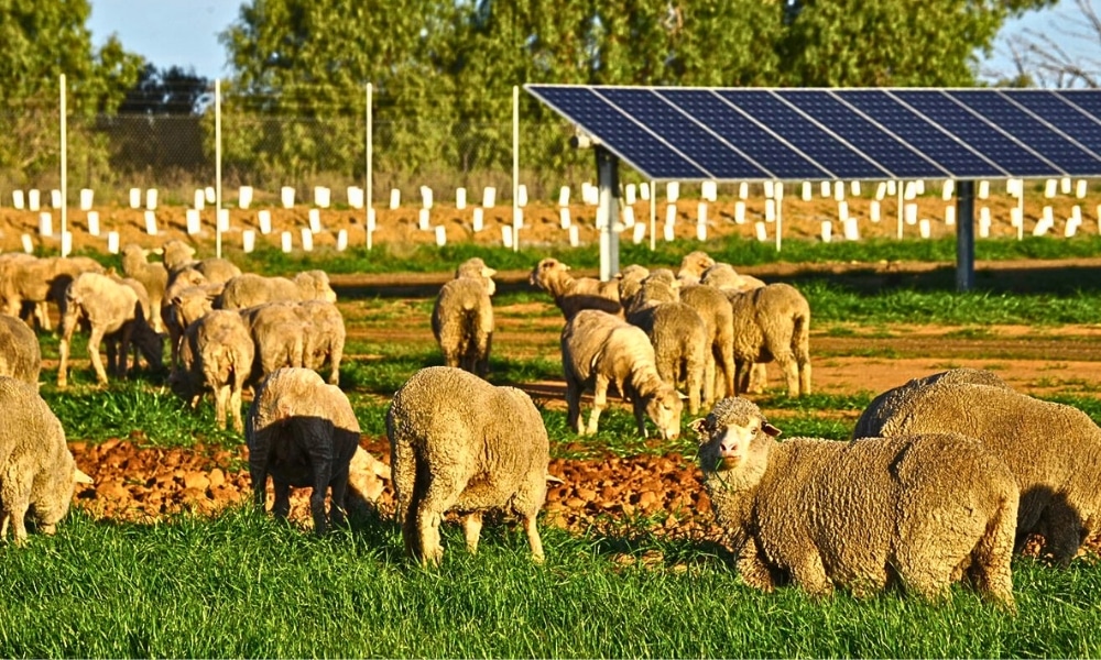 eco-friendly solar