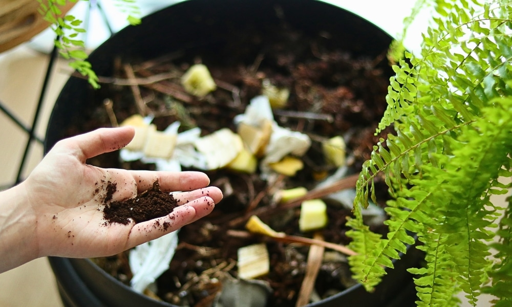 home compost bin