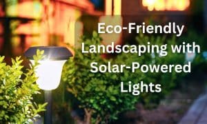 solar landscape lighting