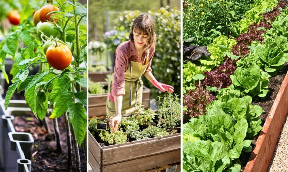 eco-friendly gardening tips