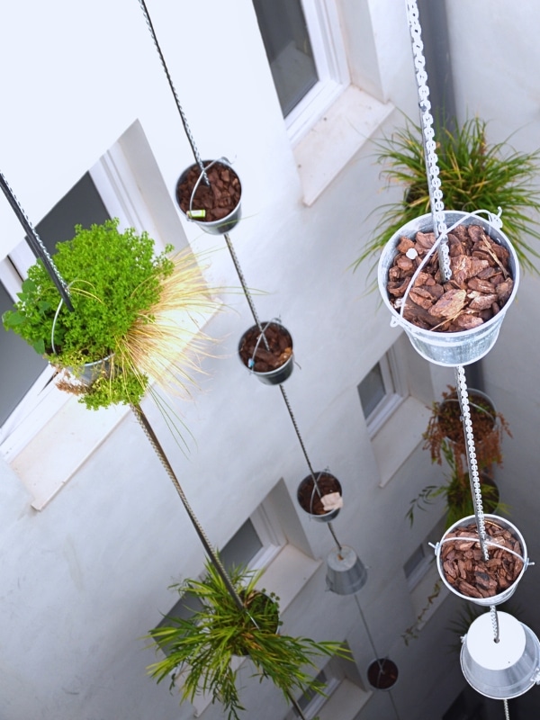 maximise green space