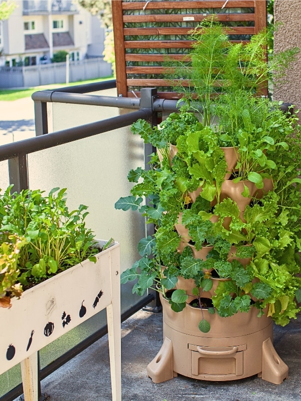 small space gardening