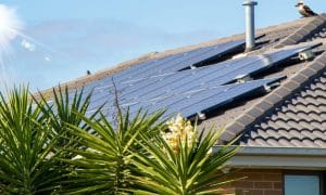 solar panel placement