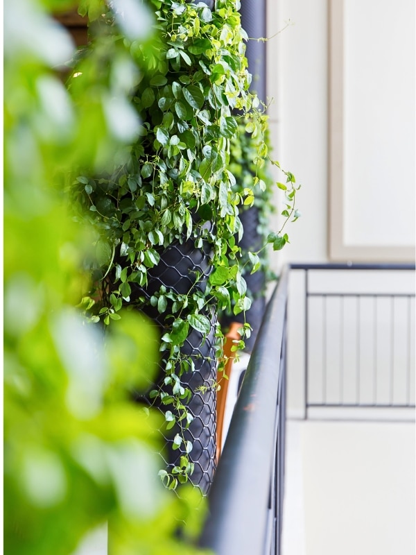 vertical garden ideas