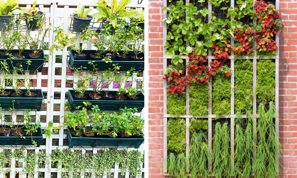 vertical garden ideas