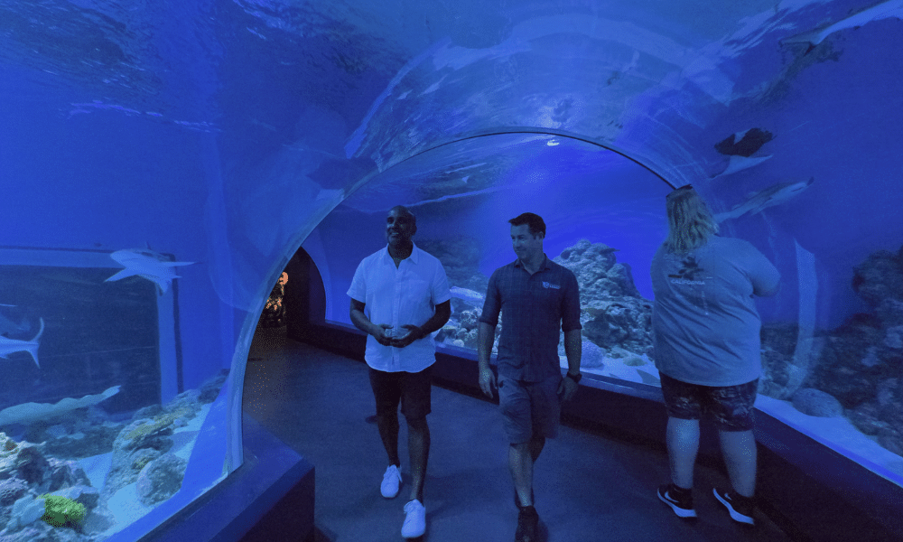 Cairns Aquarium with Roshan and Dean