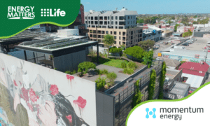 Momentum Energy and Nightingale Housing Energy Matters TV