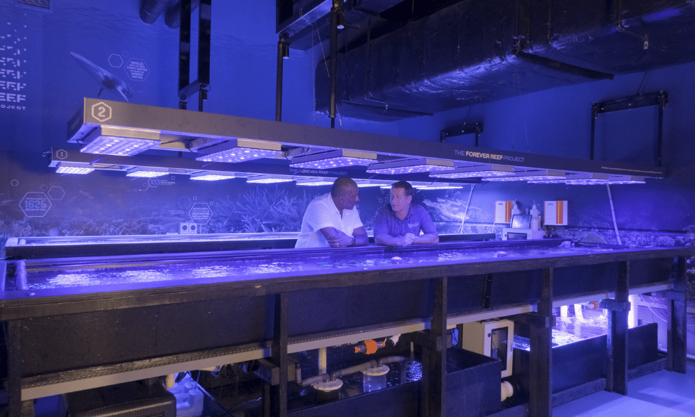 Roshan and Dean chat about The Forever Reef Project