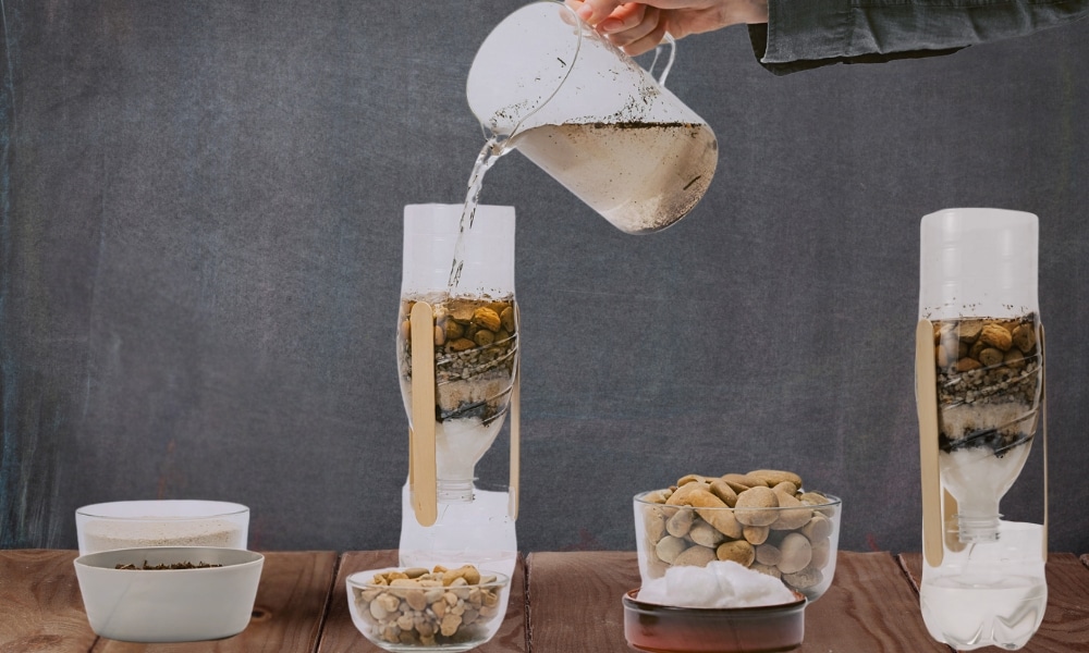 DIY sustainability experiments