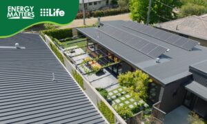 Passive Design and Sustainability