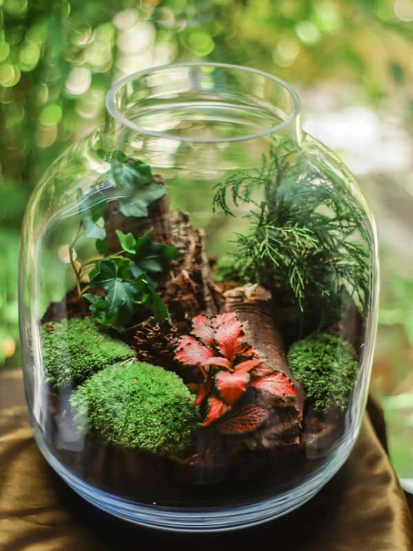 eco-friendly classroom ideas