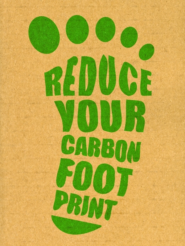 reduce school carbon footprint