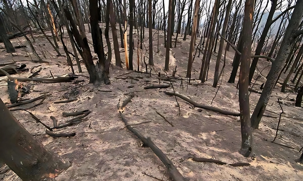 significant climate events