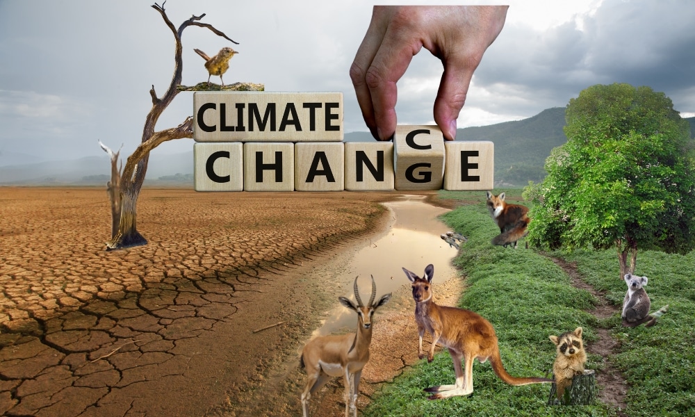 climate change and biodiversity
