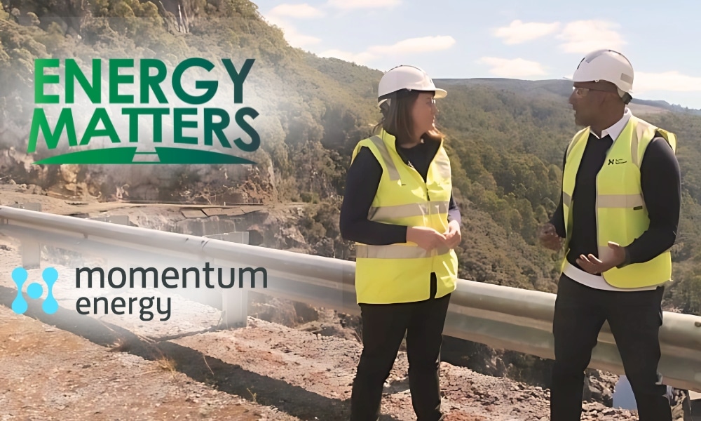 energy distributors vs energy retailers