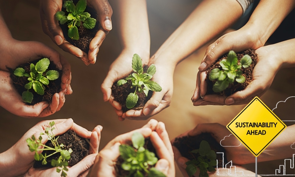 student sustainability projects