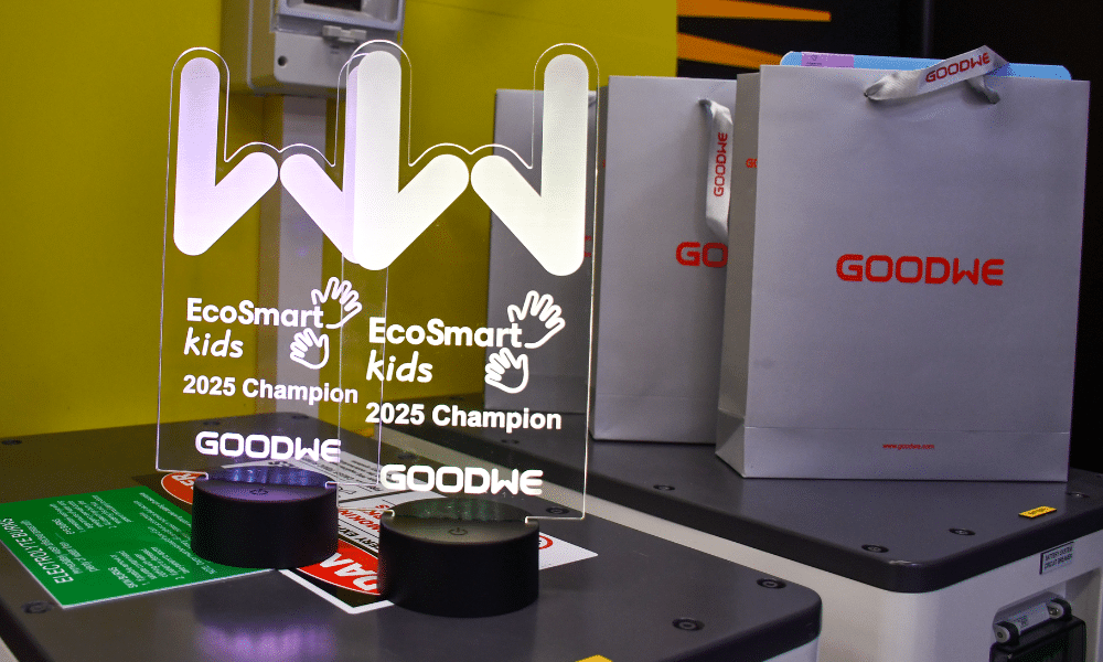GoodWe EcoSmart Kids Awards 2025