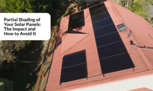 Partial Shading of Your Solar Panels: The Impact and How to Avoid It