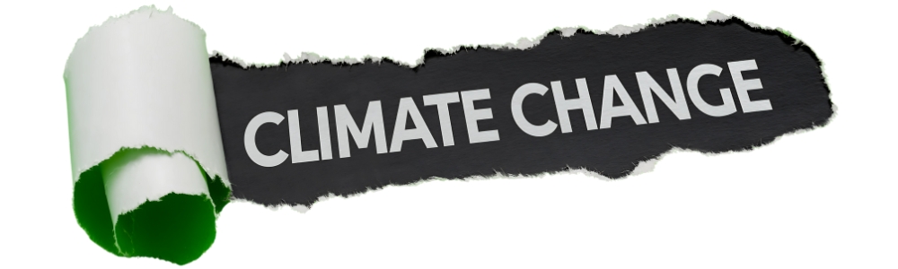 climate change basics