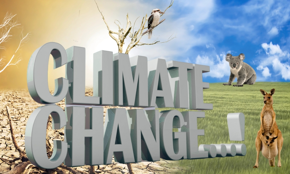 climate change definition