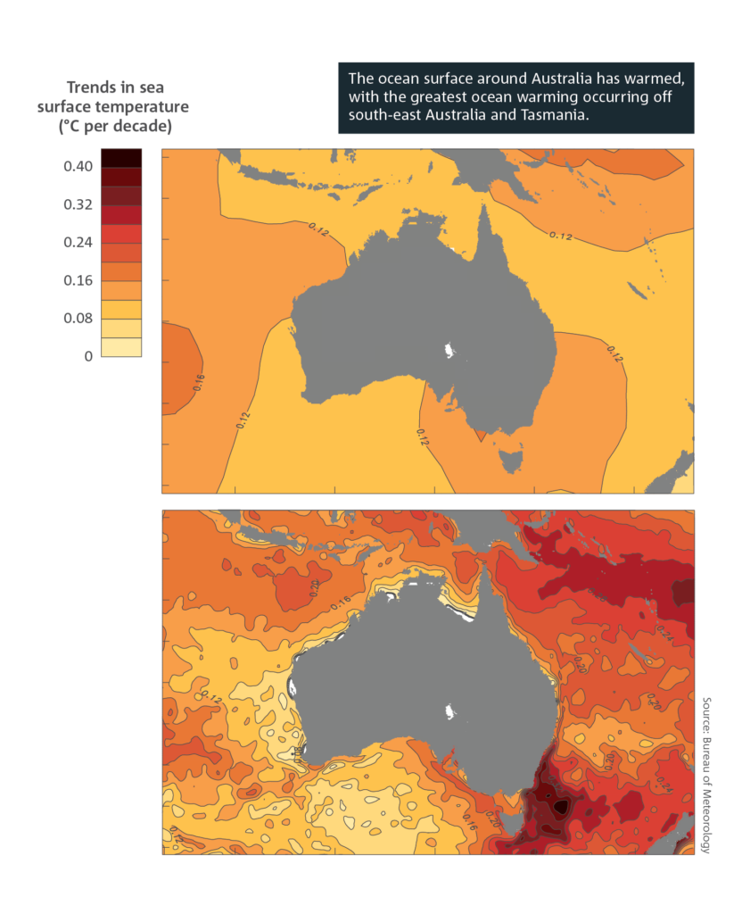 global warming causes