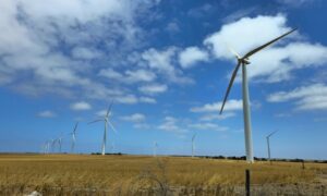 South Australian wind farm