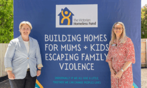 GoodWe, Six Star Plus + VHF