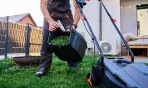 garden tools