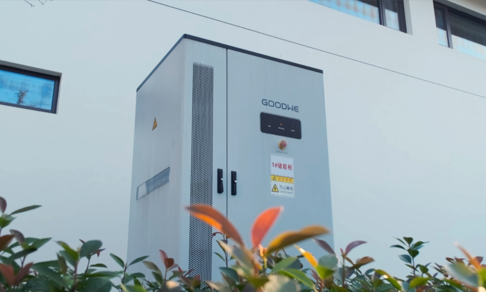 GER GoodWe seg 8 GoodWe Global Energy Revolution