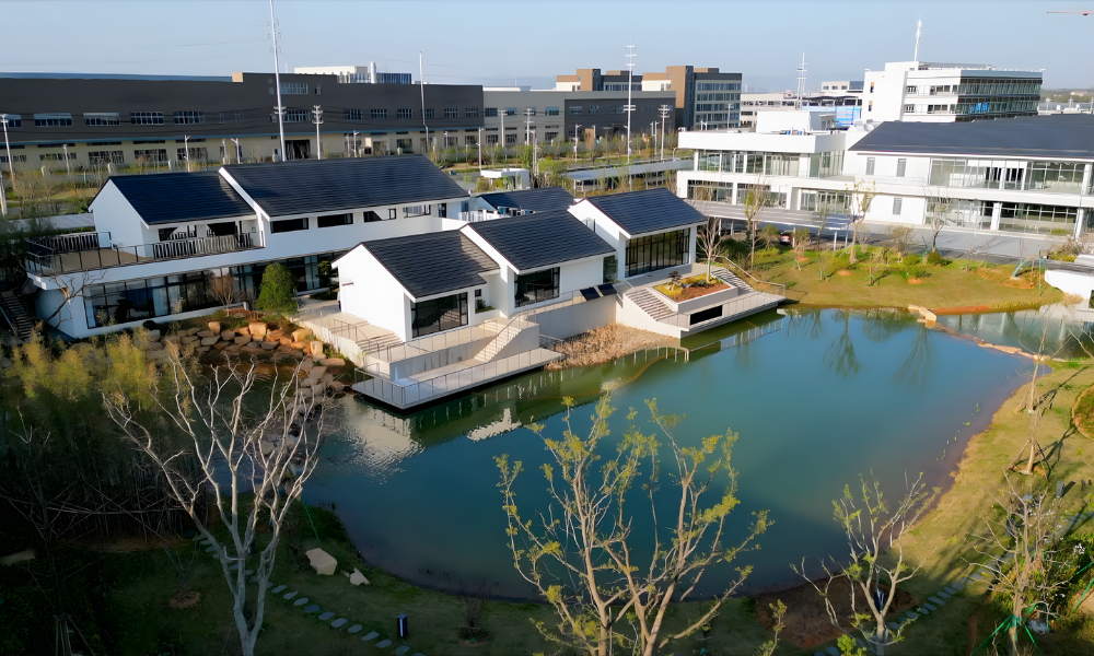 GER GoodWe seg 9 GoodWe Global Energy Revolution