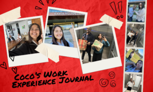 Coco Work Experience Journal